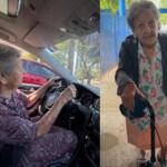 hafiza eleitora 103 anos