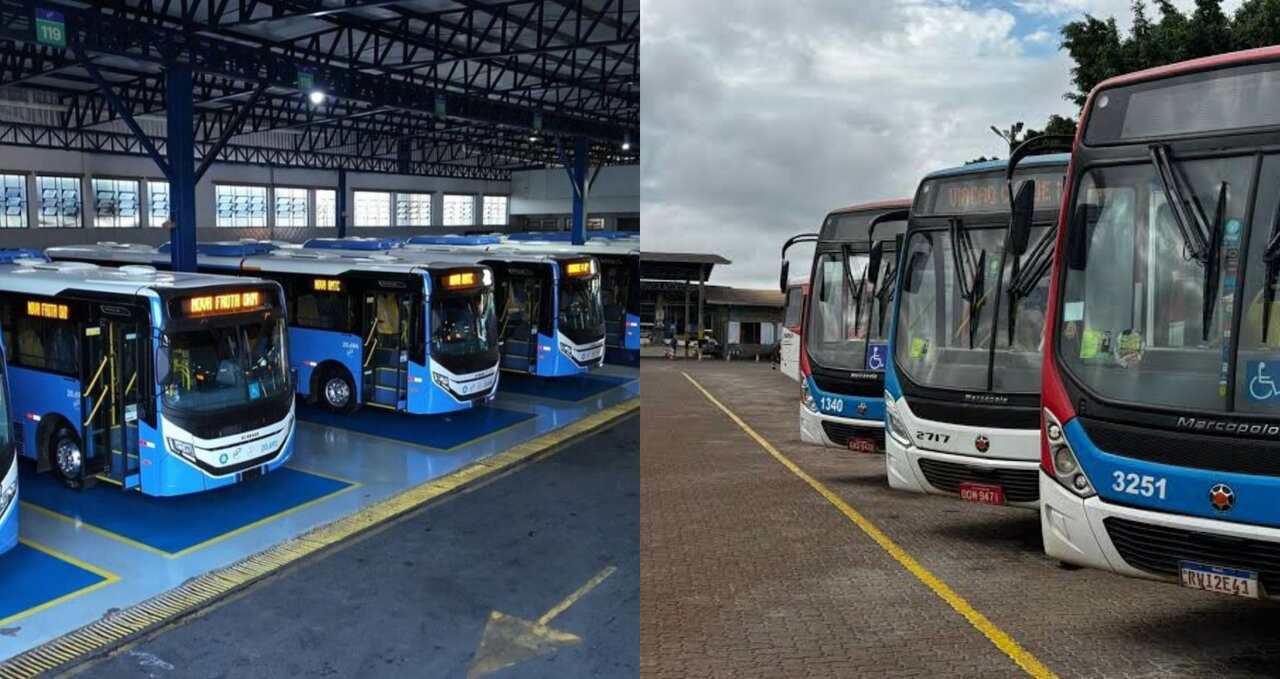 onibus