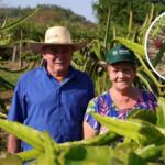 Creuza se encantou por uma fruta, levou para casa e mudou o rumo da família em Bonito