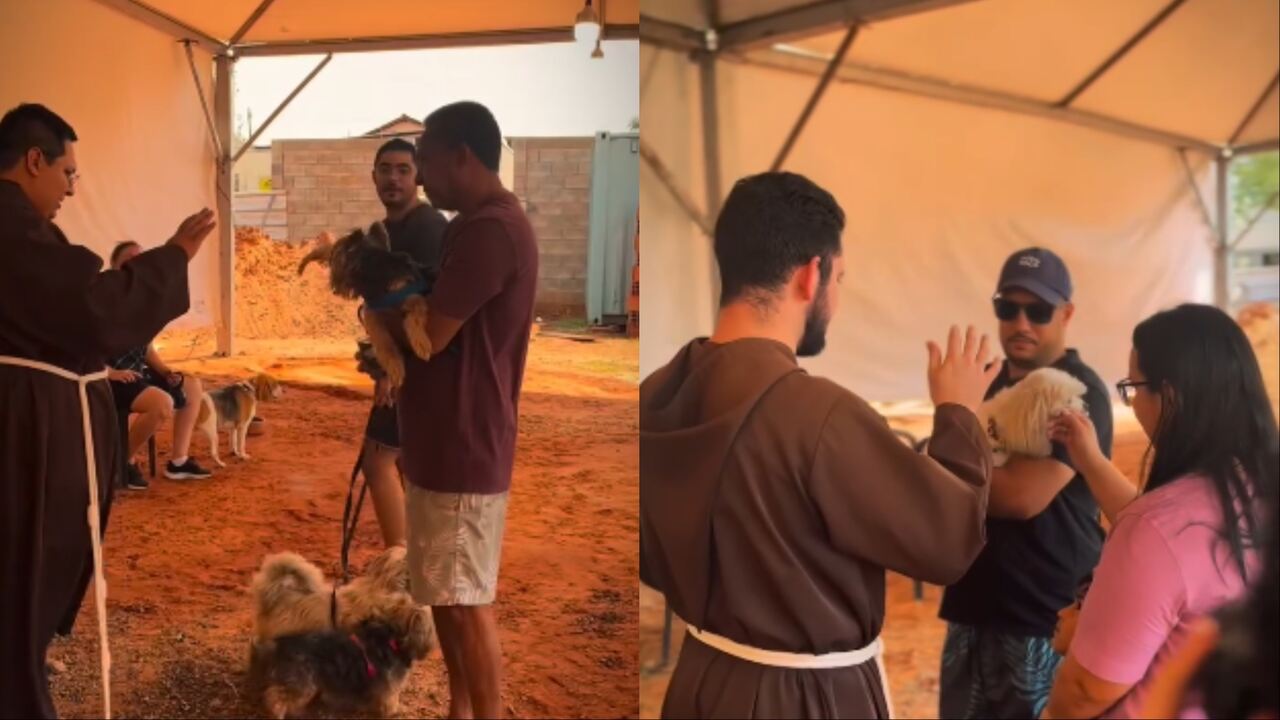 Sob graça de São Francisco de Assis, comunidade de Campo Grande abençoa pets
