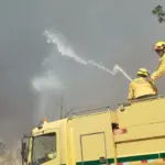 Bombeiros controlam incêndio em área de mata na UnB