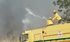 Bombeiros controlam incêndio em área de mata na UnB